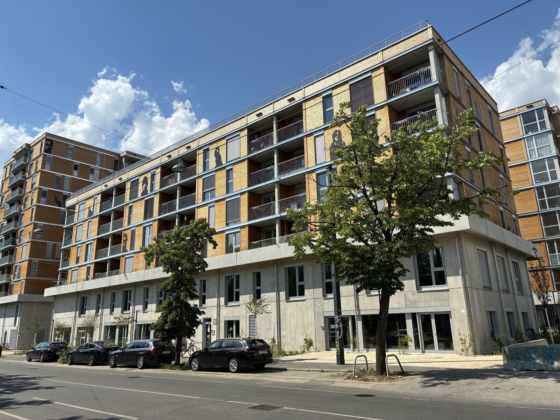 View of B.R.I.O.