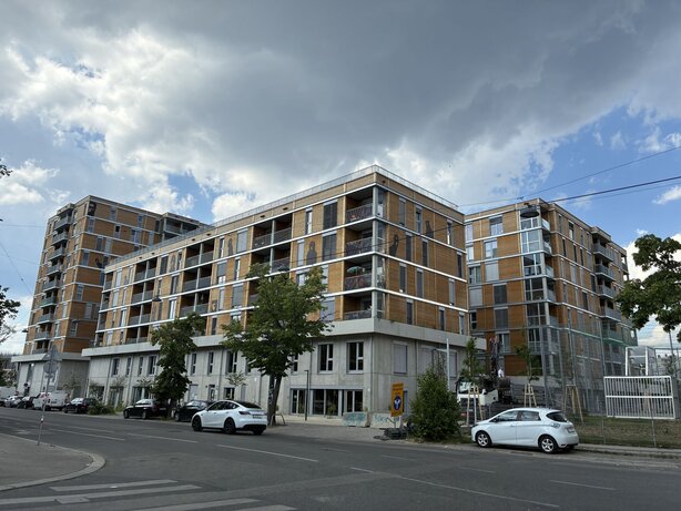 View of B.R.I.O.
